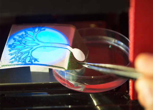 Test en laboratoire à IPGG
