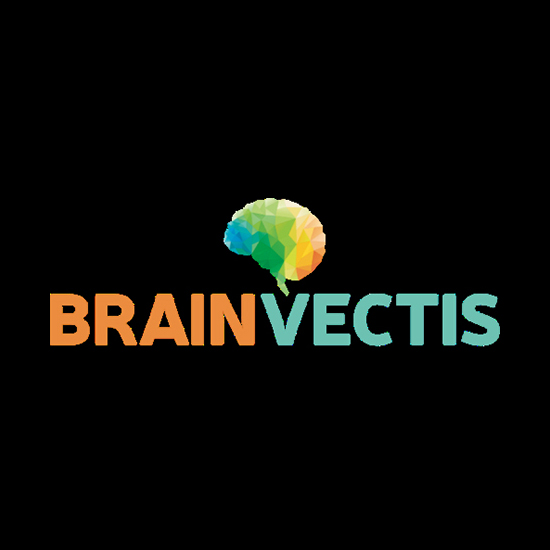 Logo Brainvectis