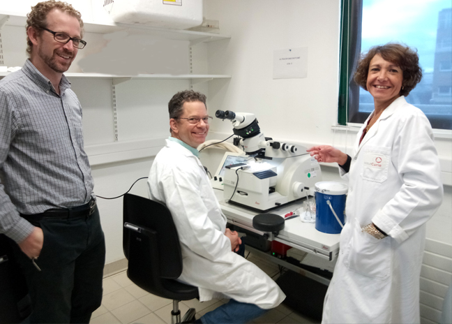 laboratoire de Graça Raposo à l'Institut Curie (établissement composante de l'Université) 
