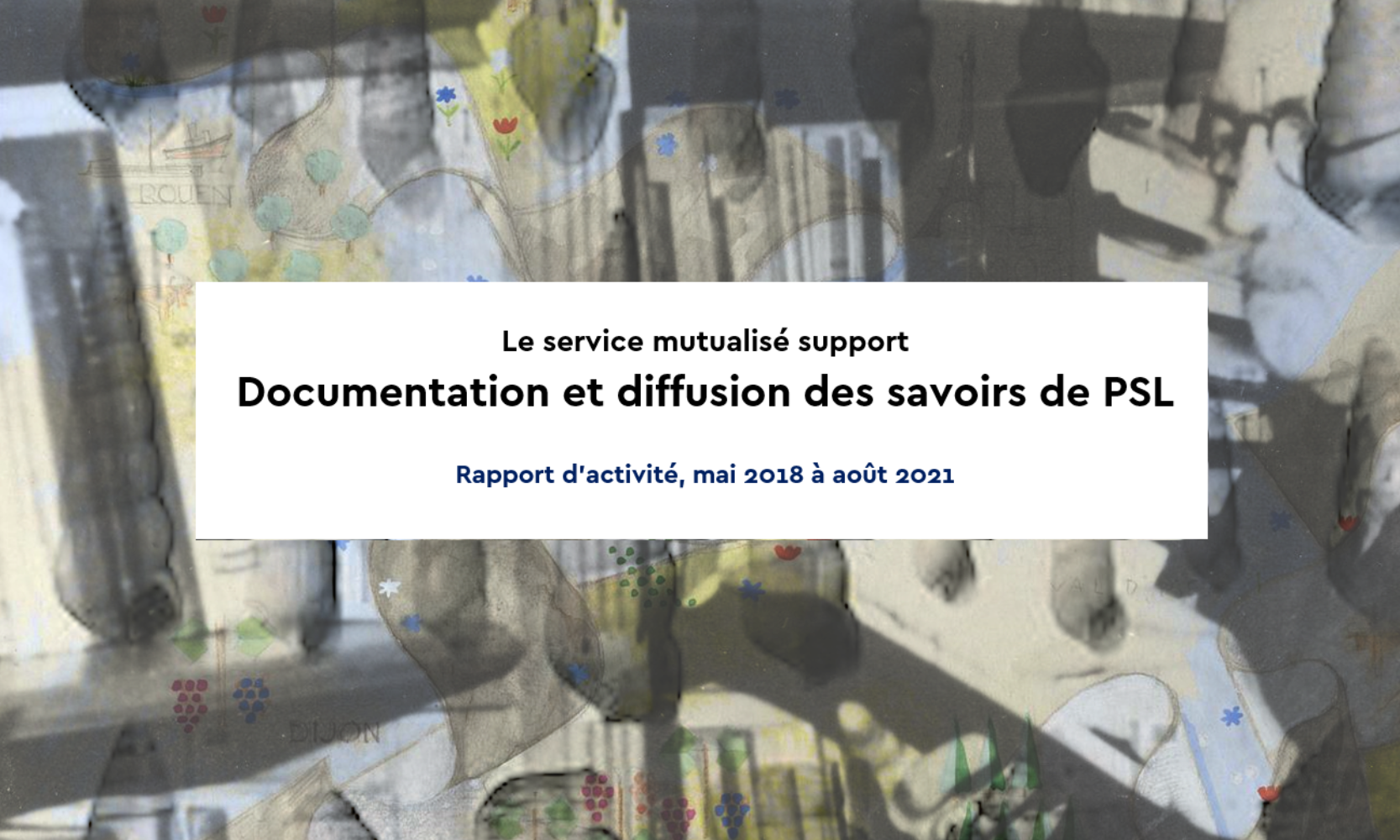 rapport d'activité conseil de la documentation psl