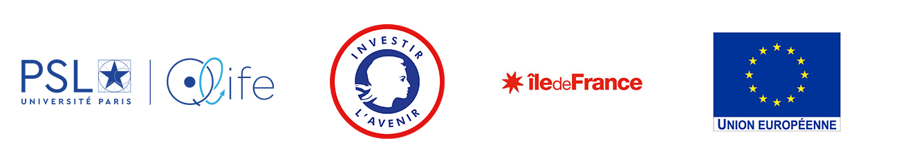 Bandeau de logos PSL Qlife et FEDER bandeau logos psl qlife feder ile de france investir l'avenir union européenne
