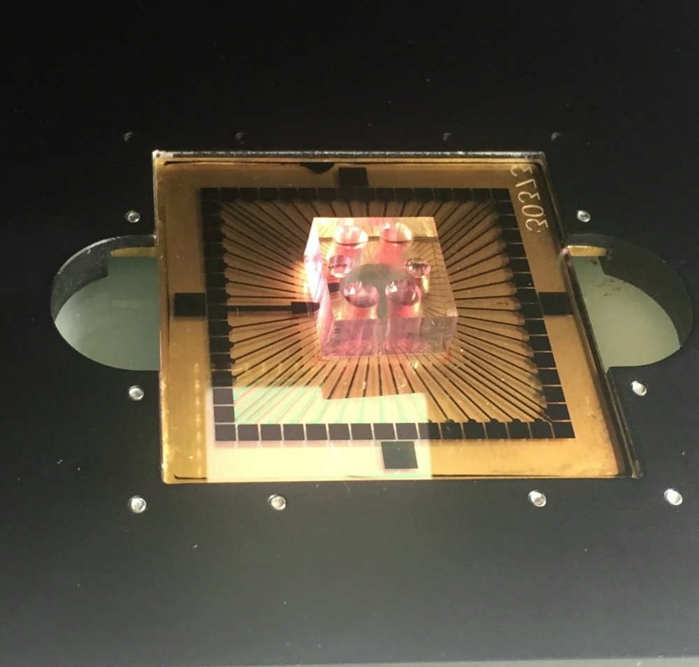 Microcrobrain Biotech 