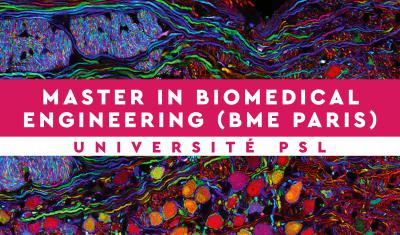 Master BME