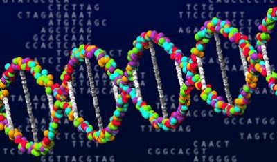 Biomarqueurs ARN non référencés Biomarqueurs ARN non référencés