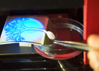 Test en laboratoire à IPGG