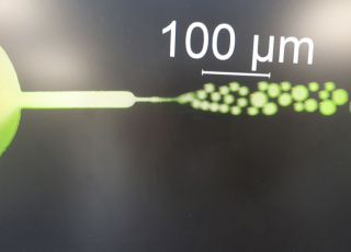 Paris FLOW Tech, le projet de plateforme technologique pour une chimie verte et durable © Equipe MMN _ P.Tabeling