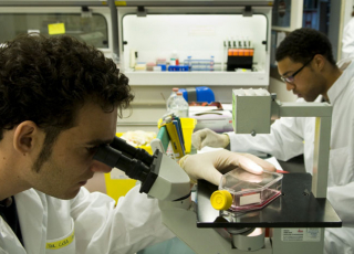 Laboratoire de l'Inserm