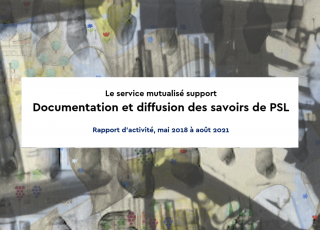 rapport d'activité du conseil de la documentation de psl