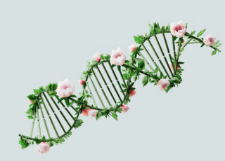 Institut Curie - PSL recherche contre le cancer
