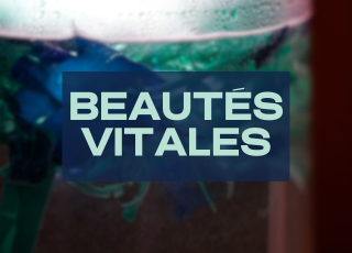 app beautés vitales chaires beautés