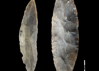Homo sapiens a atteint le Nord-Ouest de l'Europe il y a plus de 45 000 ans