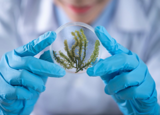 Chaires d’excellence en Biologie / Santé