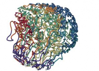 L'IRIS "Science des données, données de la science” (SDDS), projet scientifique soutenu par PSL